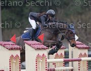 Del Signore Zingara TosTour 2013- S4 7059 : Arezzo Equestrian Centre, Del Signore Michol, Toscana Tour 2013, Zingara, foto di Stefano Secchi ©